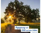 Titelmotiv "Begegnung mit Gott und dem Leben - spezial" (Fastenzeit 2023) - Bäume im Gegenlicht des Sonnenscheins